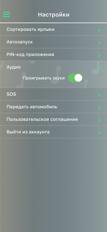 audio (1)
